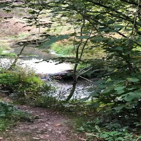 Nature Retreat In Waimes, Cleaning Included بيت للعطل وايمس
